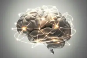 Peptides for Brain Function